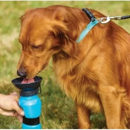 Bebedero Portátil para Mascotas – ¡Hidrata a tu mejor amigo donde sea!
