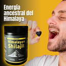 Gomitas Puras de Shilajit del Himalaya
