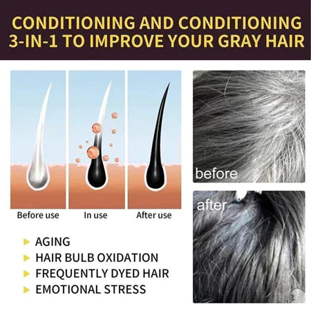 Champú Oscurecedor Natural de Cabello – Black Hair Dye (500 ml)